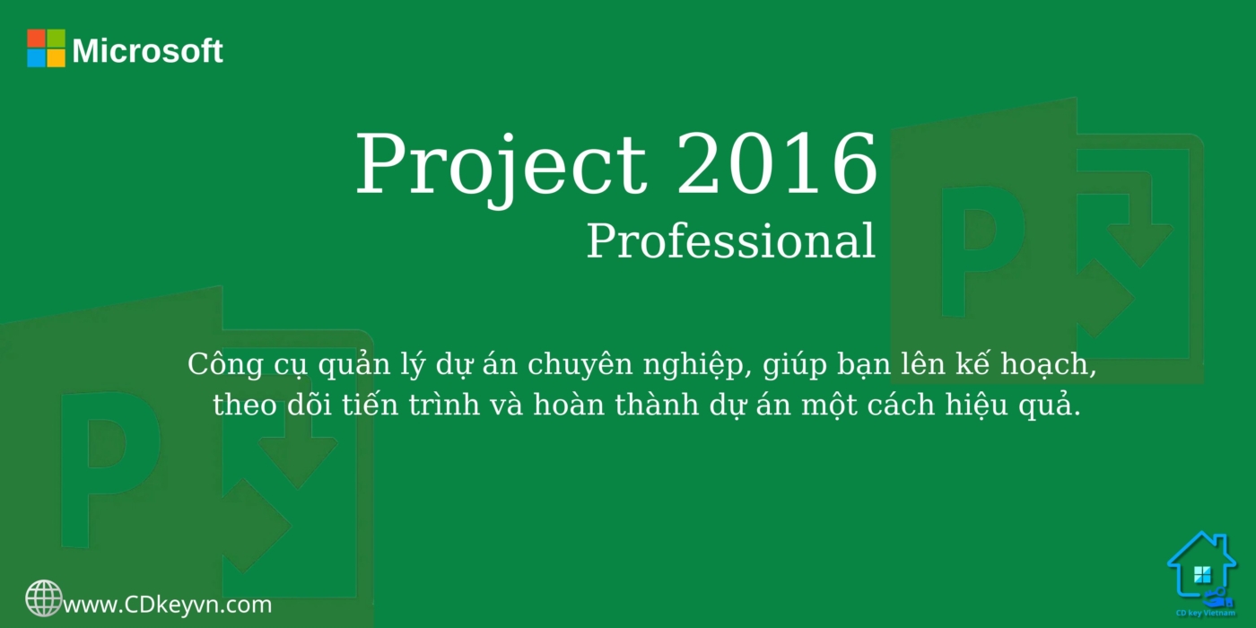 Project 2016 Professional 