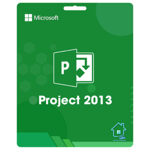 Microsoft Project 2013