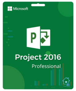 Project 2016 Professional