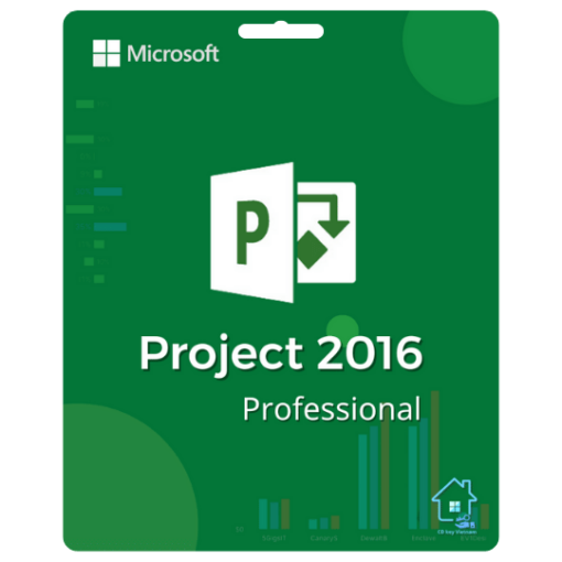 Project 2016 Professional