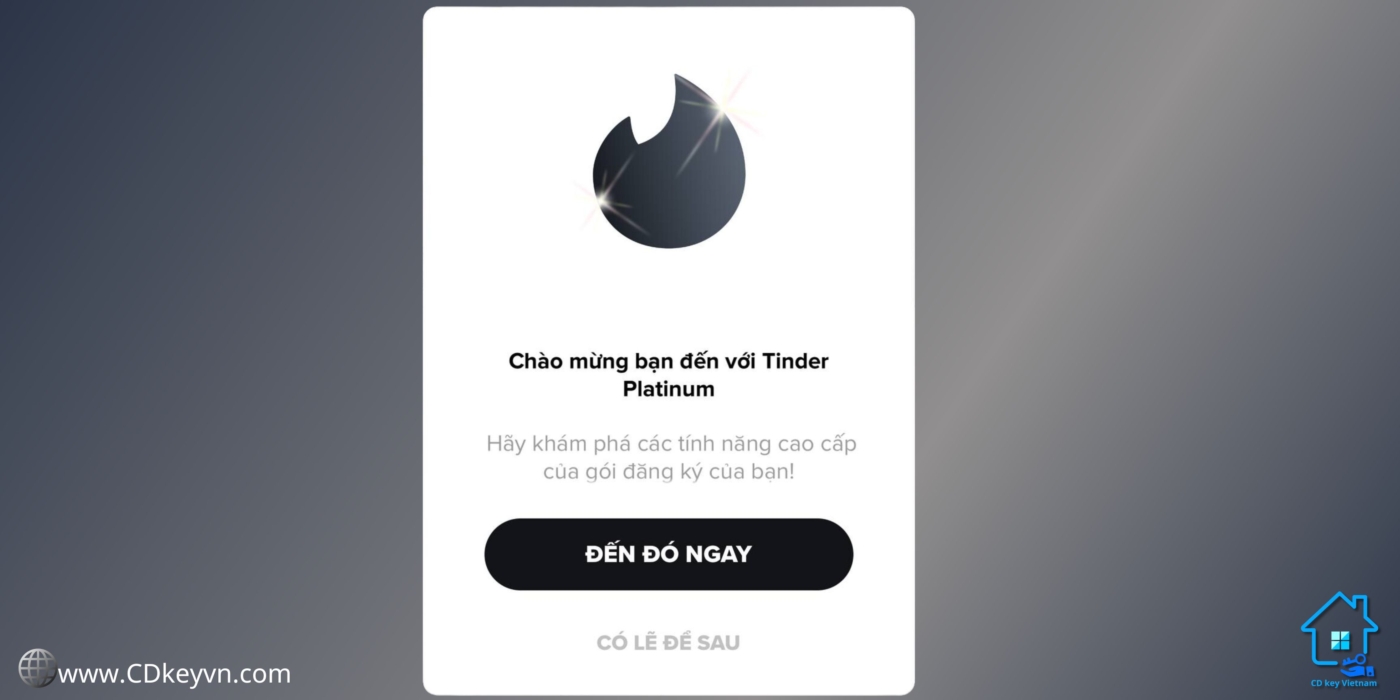 Khái Niệm về Tinder Platinum